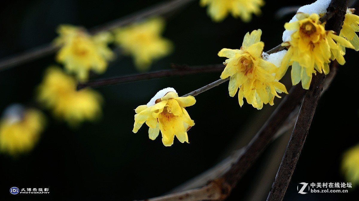 #版主坐堂#小五星空(中国)2019年元月精品荟萃