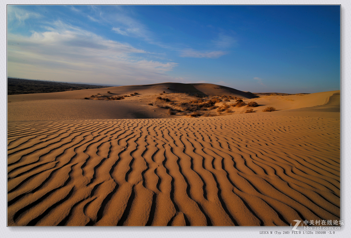 记录 【甘肃大地 腾格里沙漠 】2