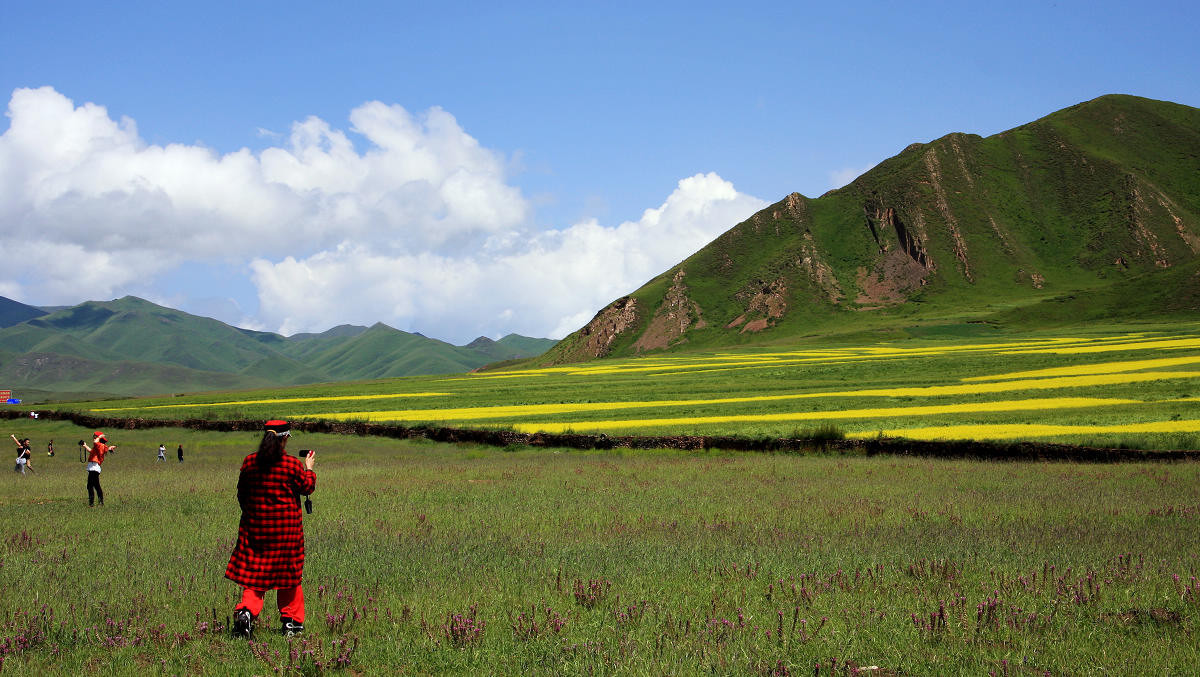 #版主坐堂# 《拉萨星空(中国)优秀作品》2016年2月