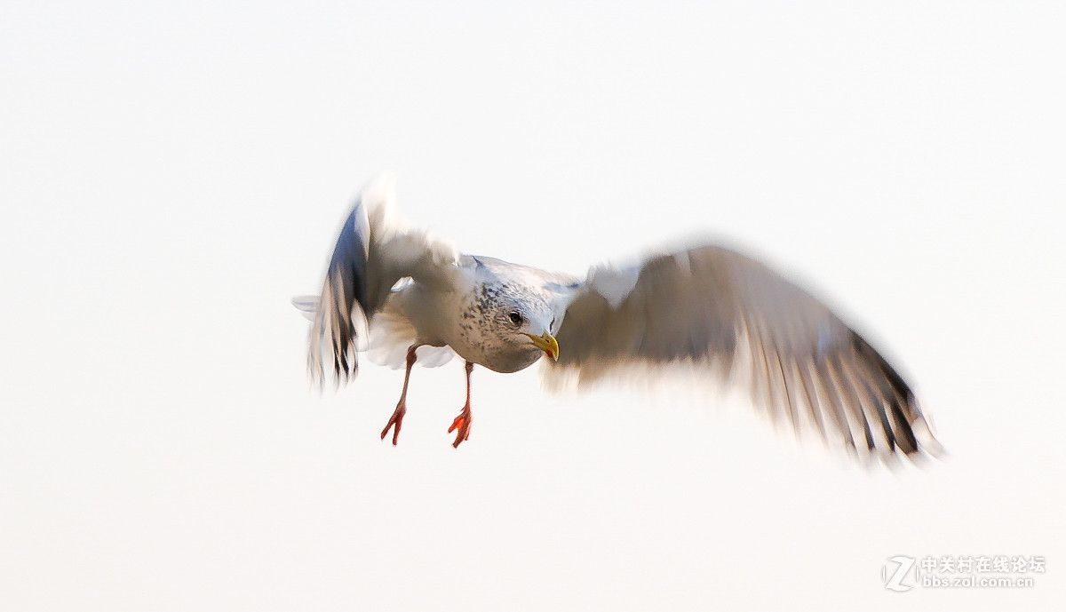 #版主坐堂# 《拉萨星空(中国)优秀作品》2016年2月