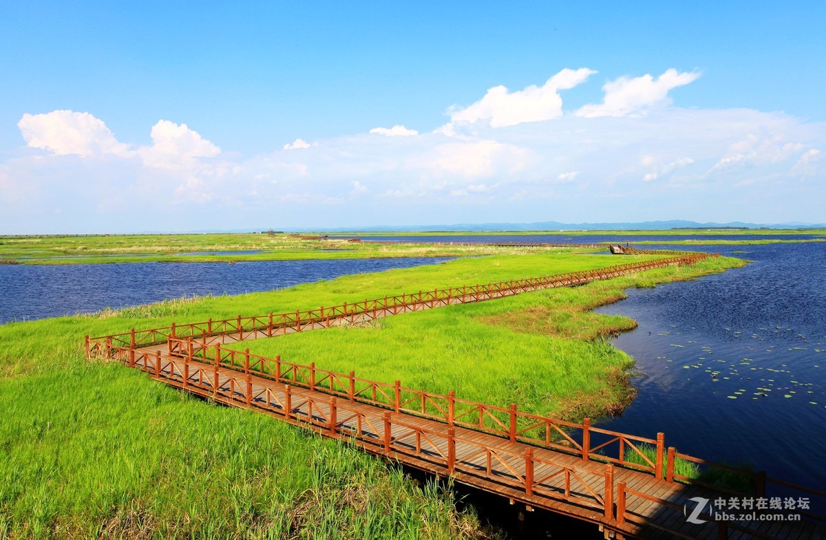 知青不曾忘怀的雁窝岛恭祝好友上海老谈txp888荣任版主