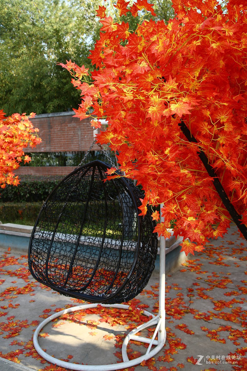 再拍半坡国际艺术中心