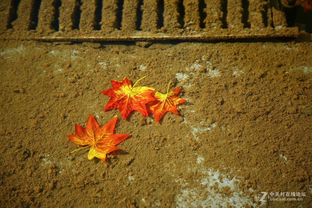 再拍半坡国际艺术中心