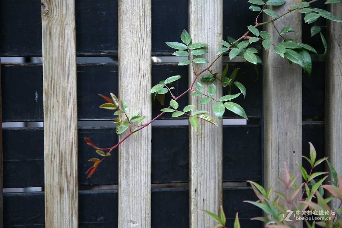 再拍半坡国际艺术中心