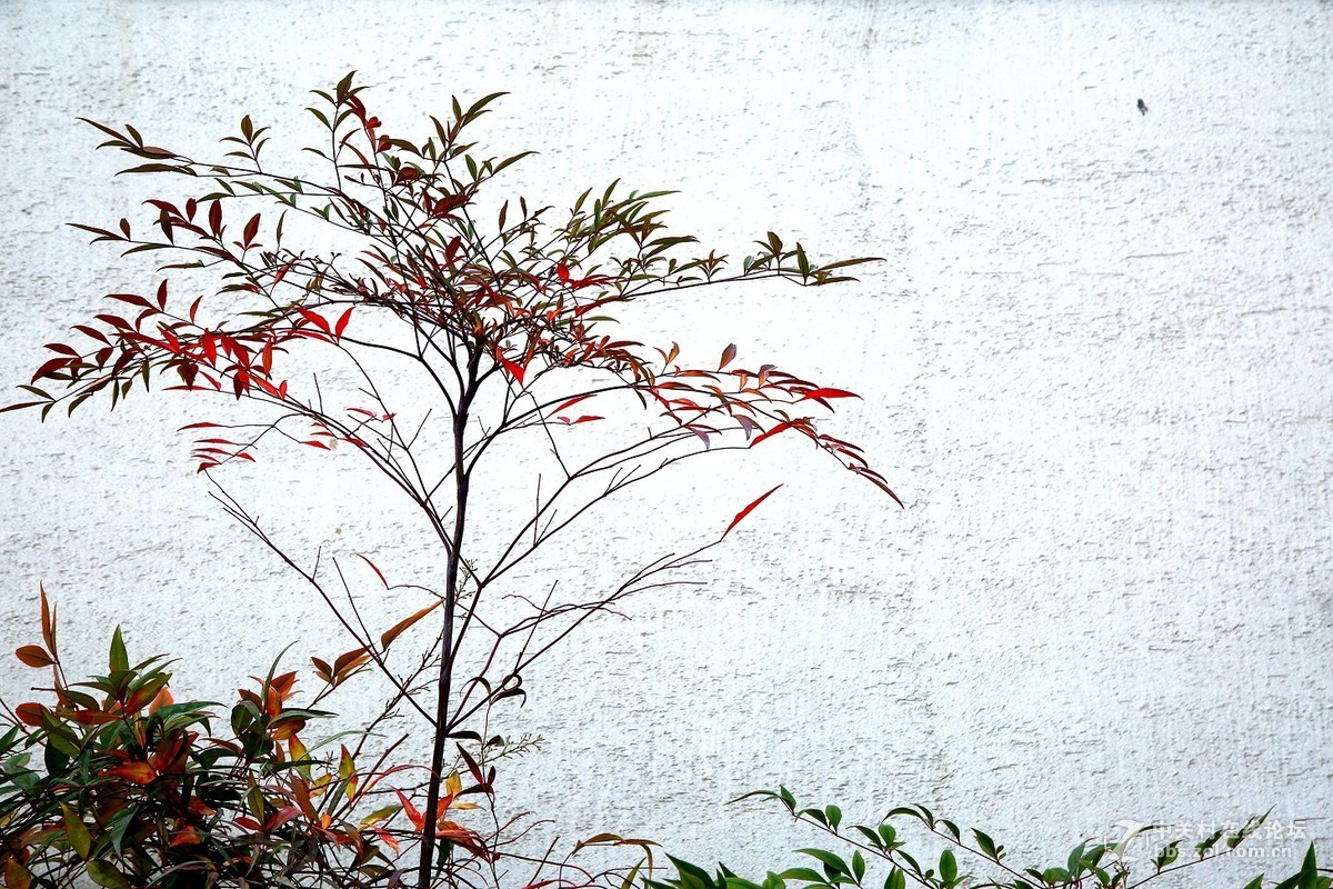 再拍半坡国际艺术中心