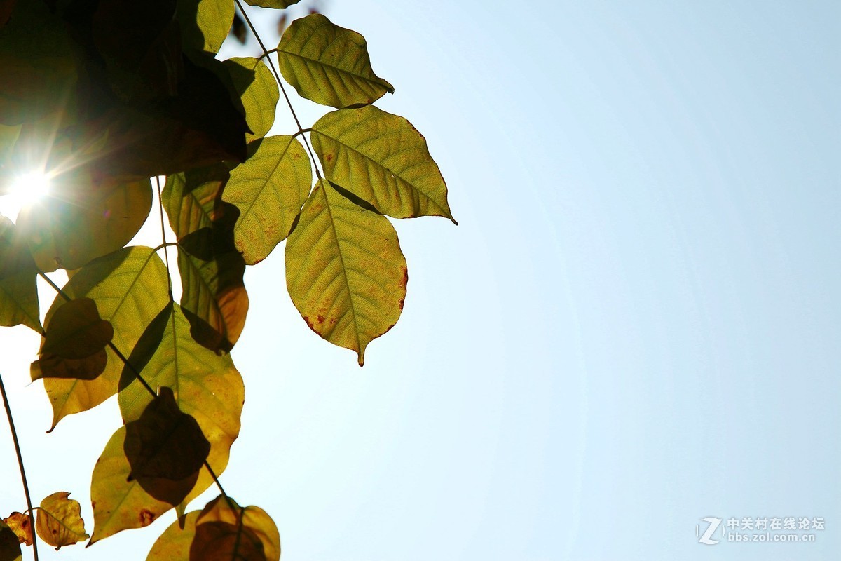 再拍半坡国际艺术中心