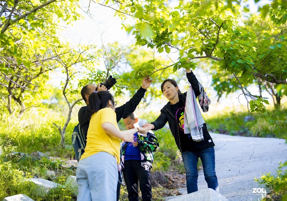 一天天都不知道干什么了？2019年端午节踏青的照片才想起来上传