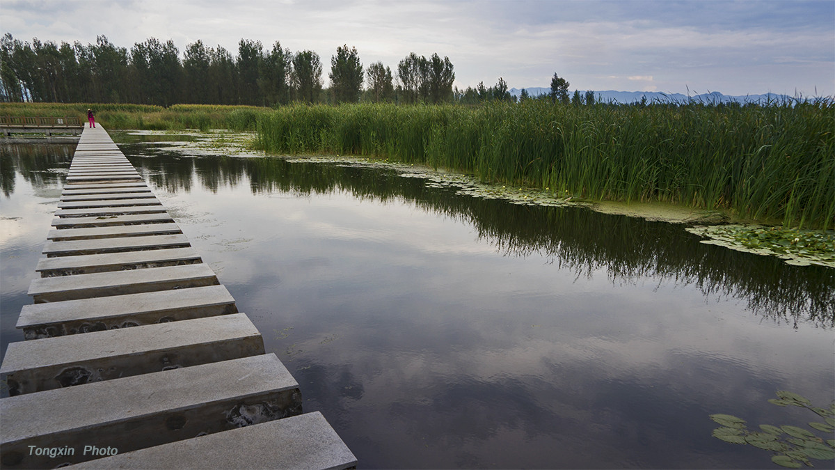 伊吗图湿地1
