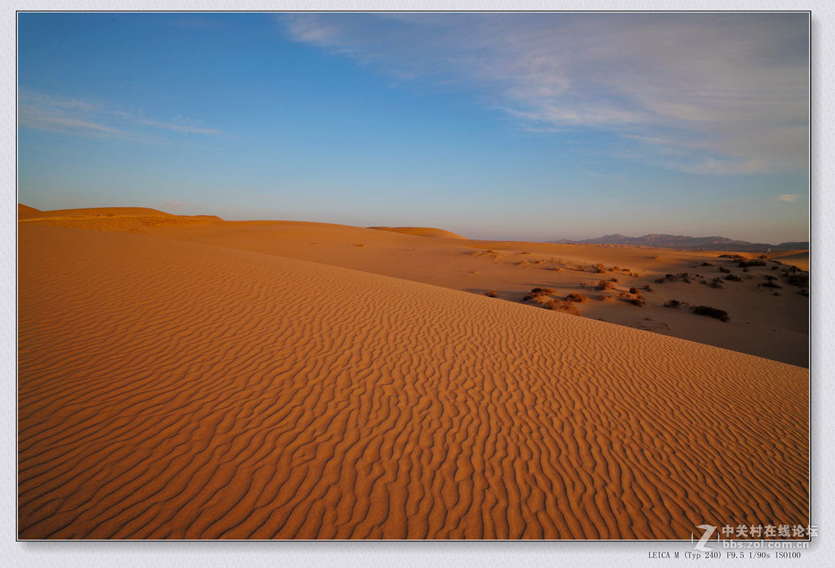 记录 【甘肃大地 腾格里沙漠 】2