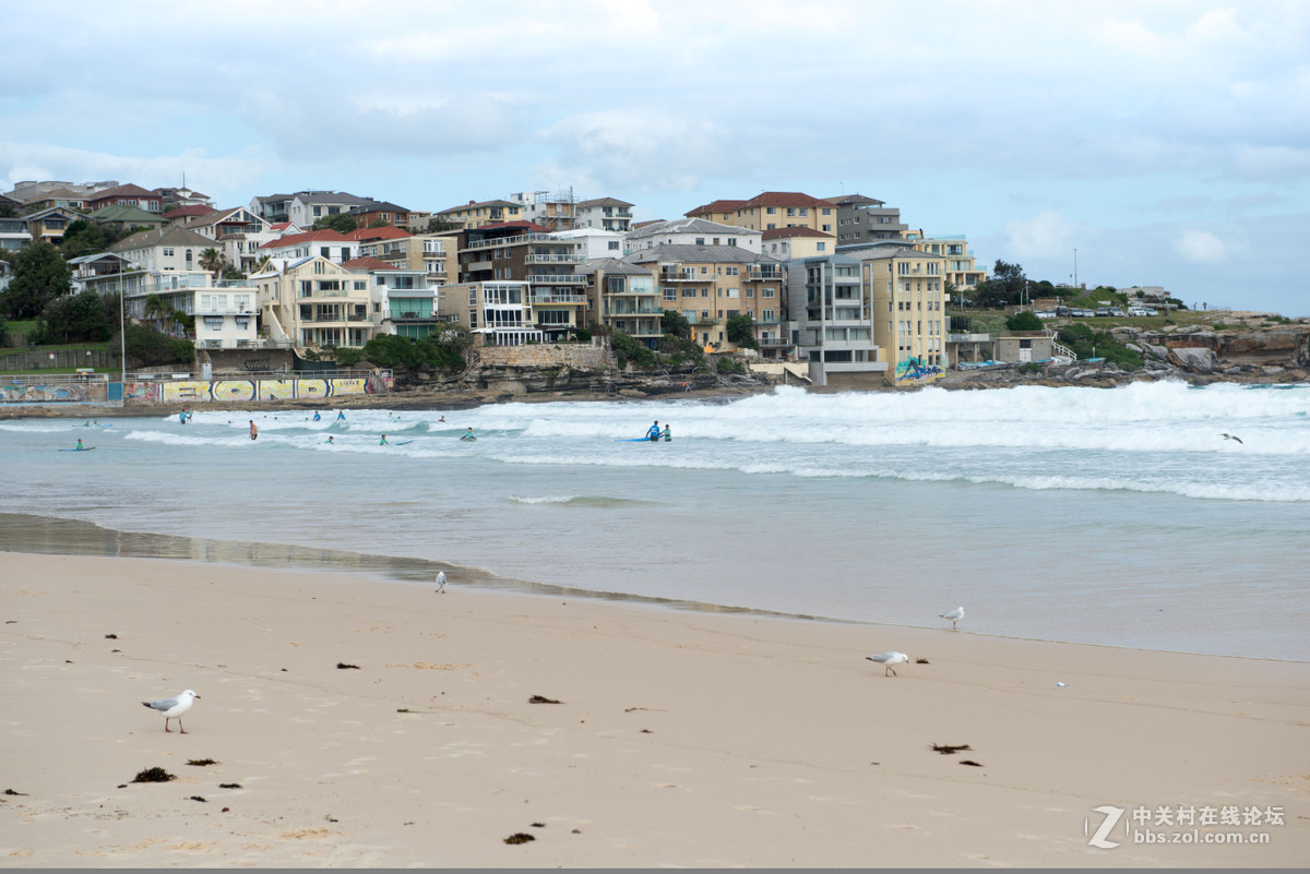 悉尼邦迪海滩