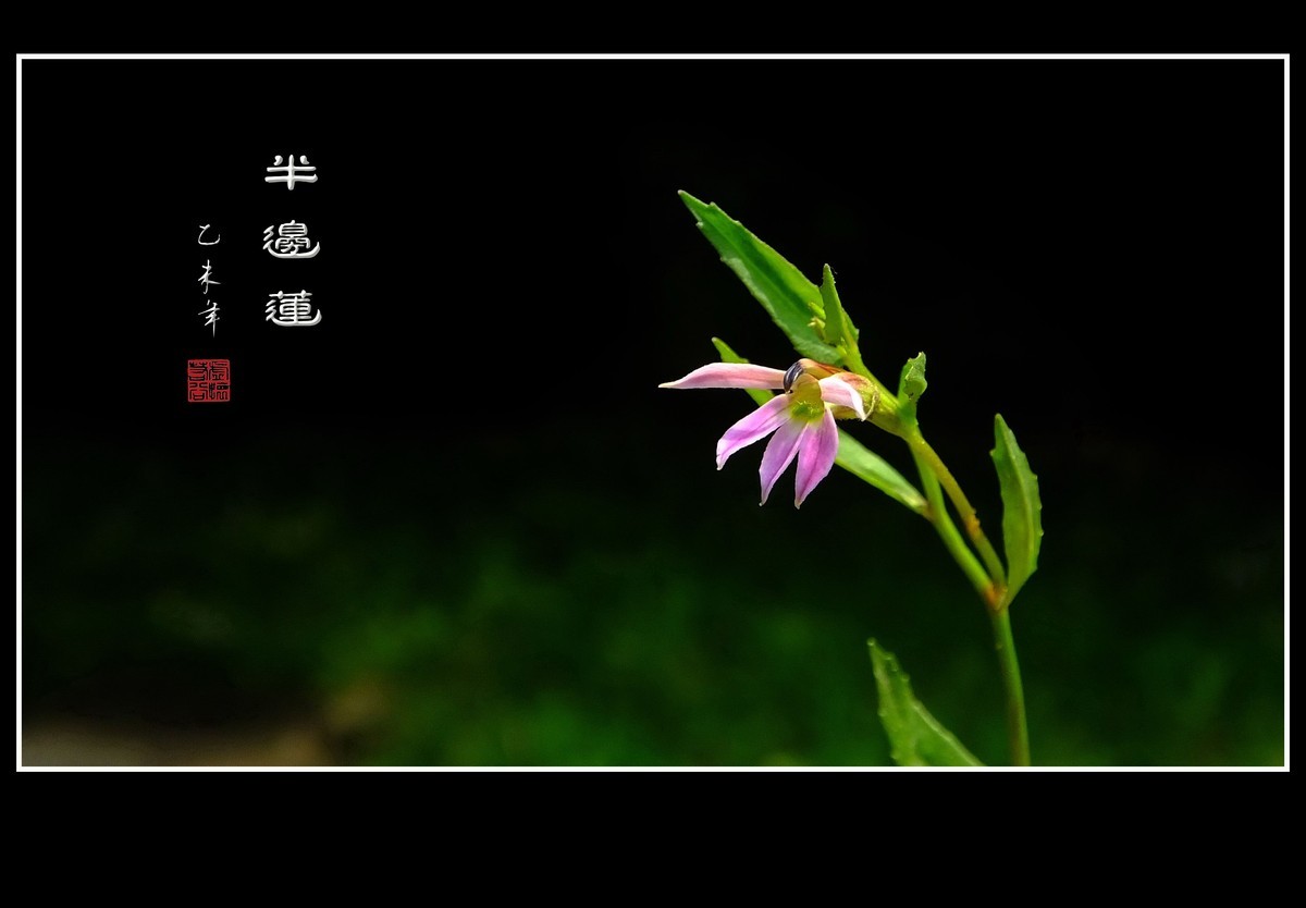 #版主坐堂# 《拉萨星空(中国)优秀作品》2016年2月