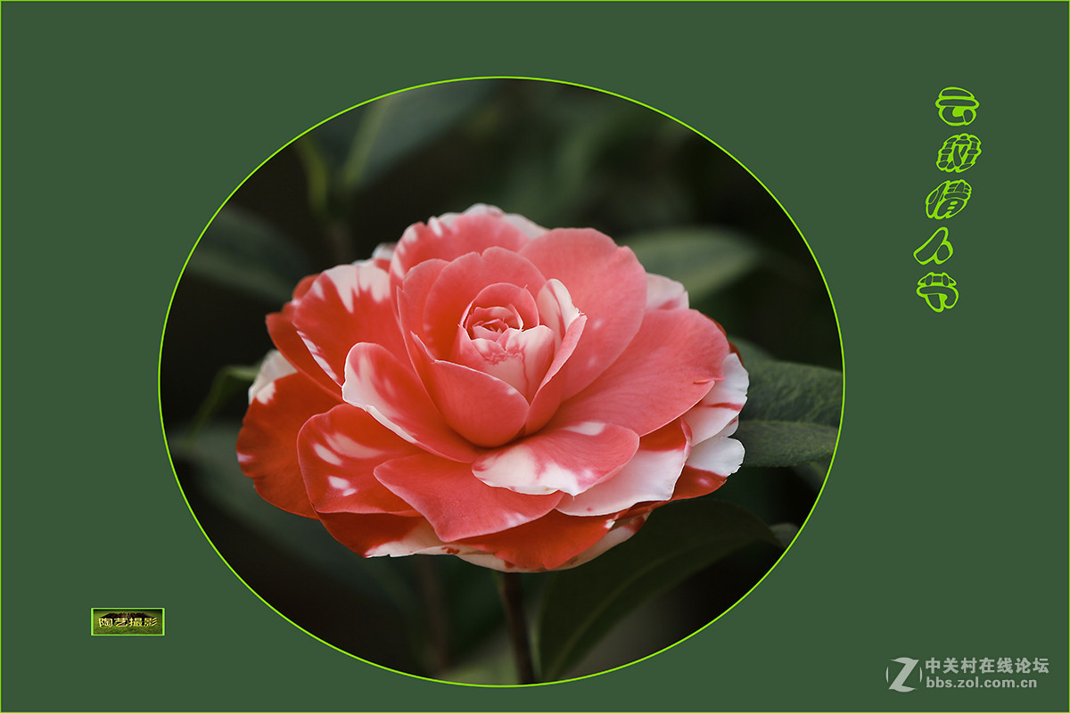 #版主坐堂# 《拉萨星空(中国)优秀作品》2016年2月