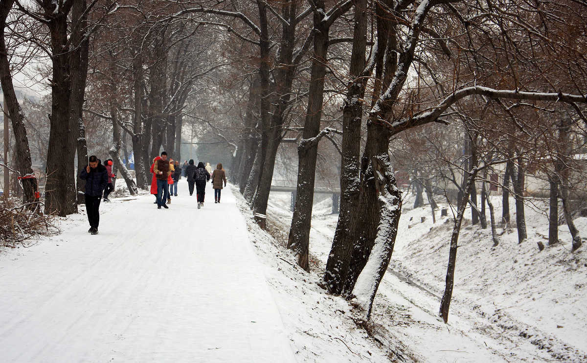 #版主坐堂# 《拉萨星空(中国)优秀作品》2016年2月