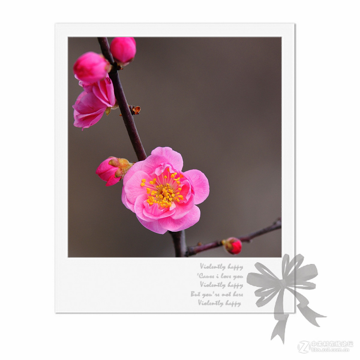 #版主坐堂# 《拉萨星空(中国)优秀作品》2016年2月