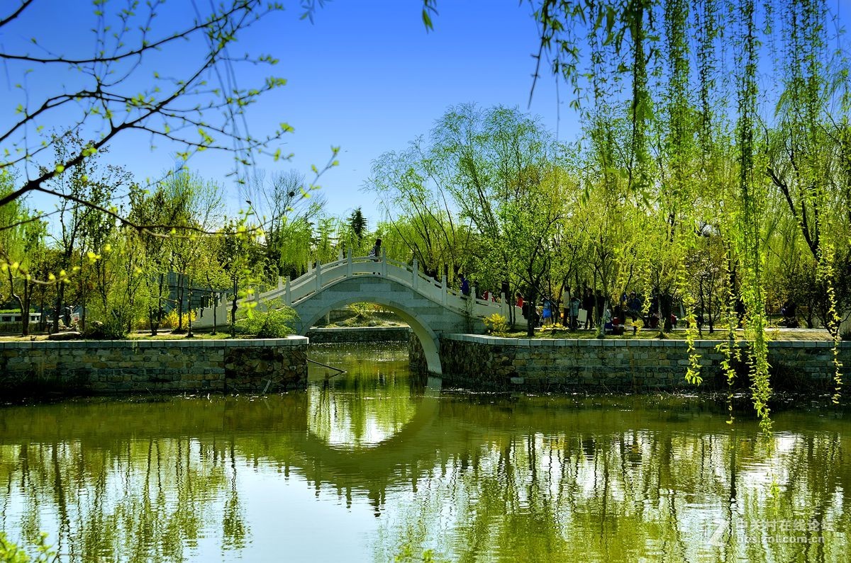 天津长虹公园随拍（中）——恭贺“贵阳土拨鼠”荣任红河版主！