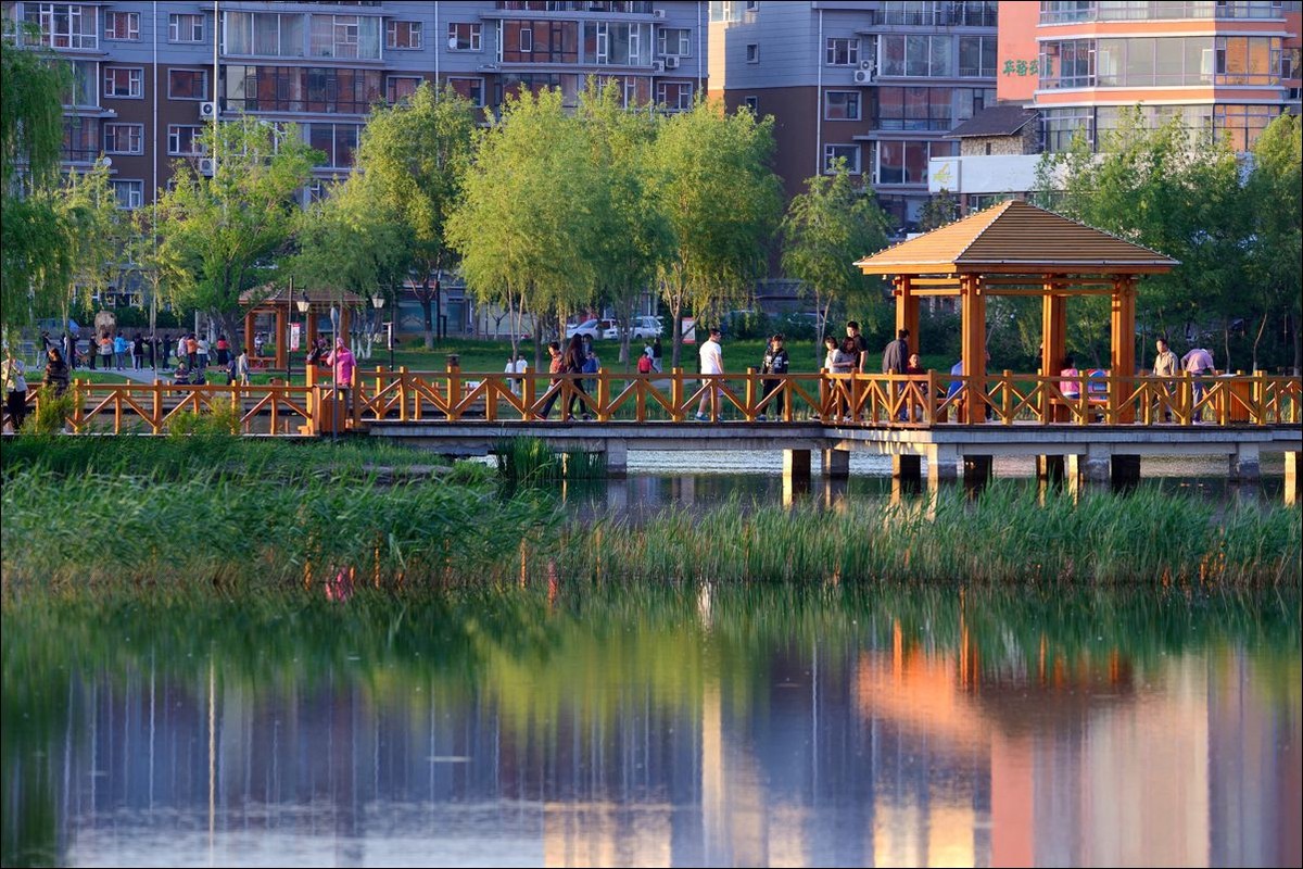 休闲随拍（297）