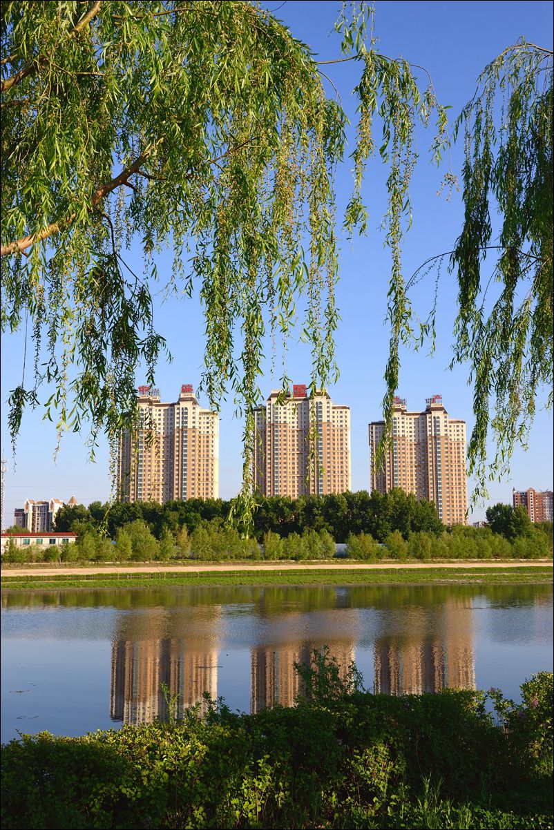 休闲随拍（297）