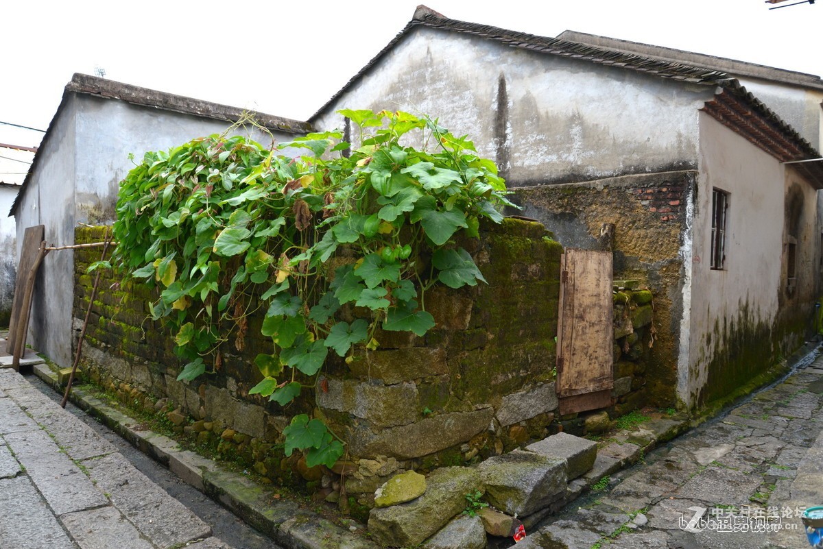 都市里的村——大鹏王母围村