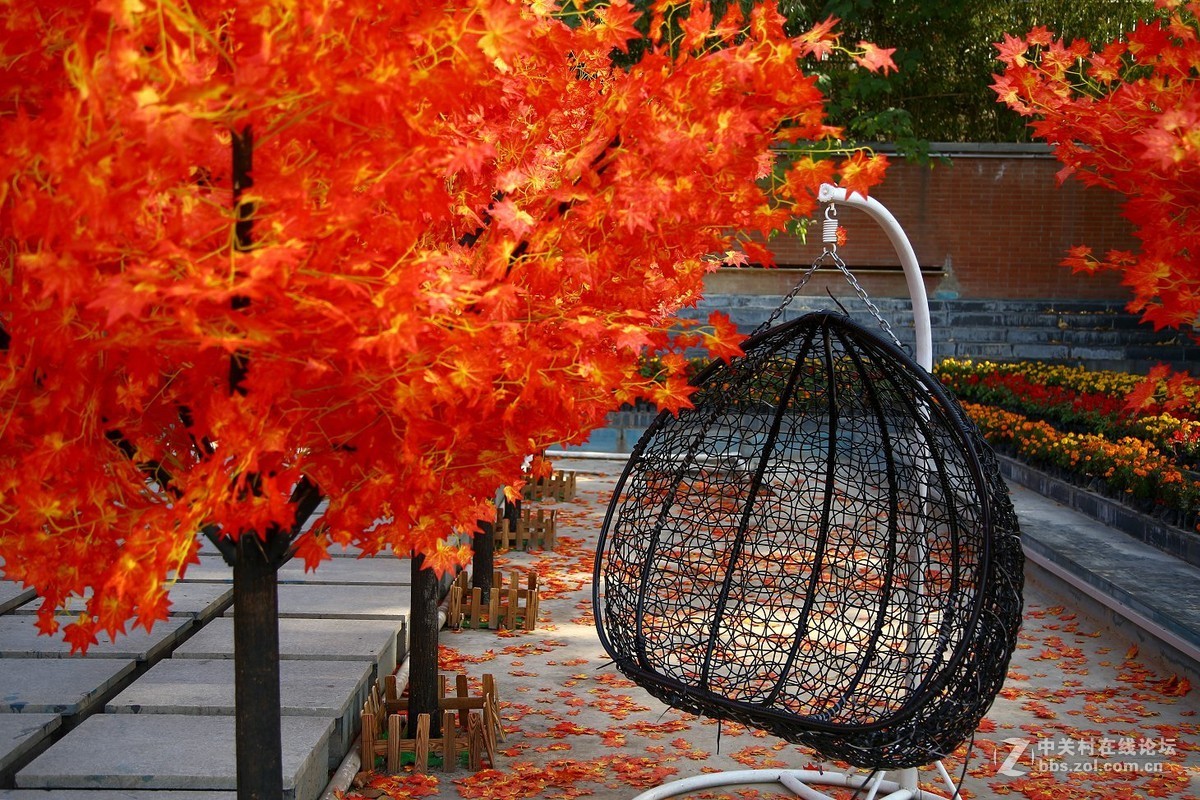 再拍半坡国际艺术中心