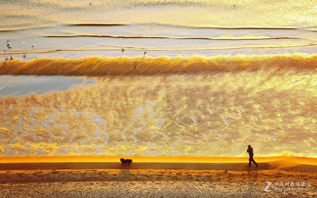 黄金海岸