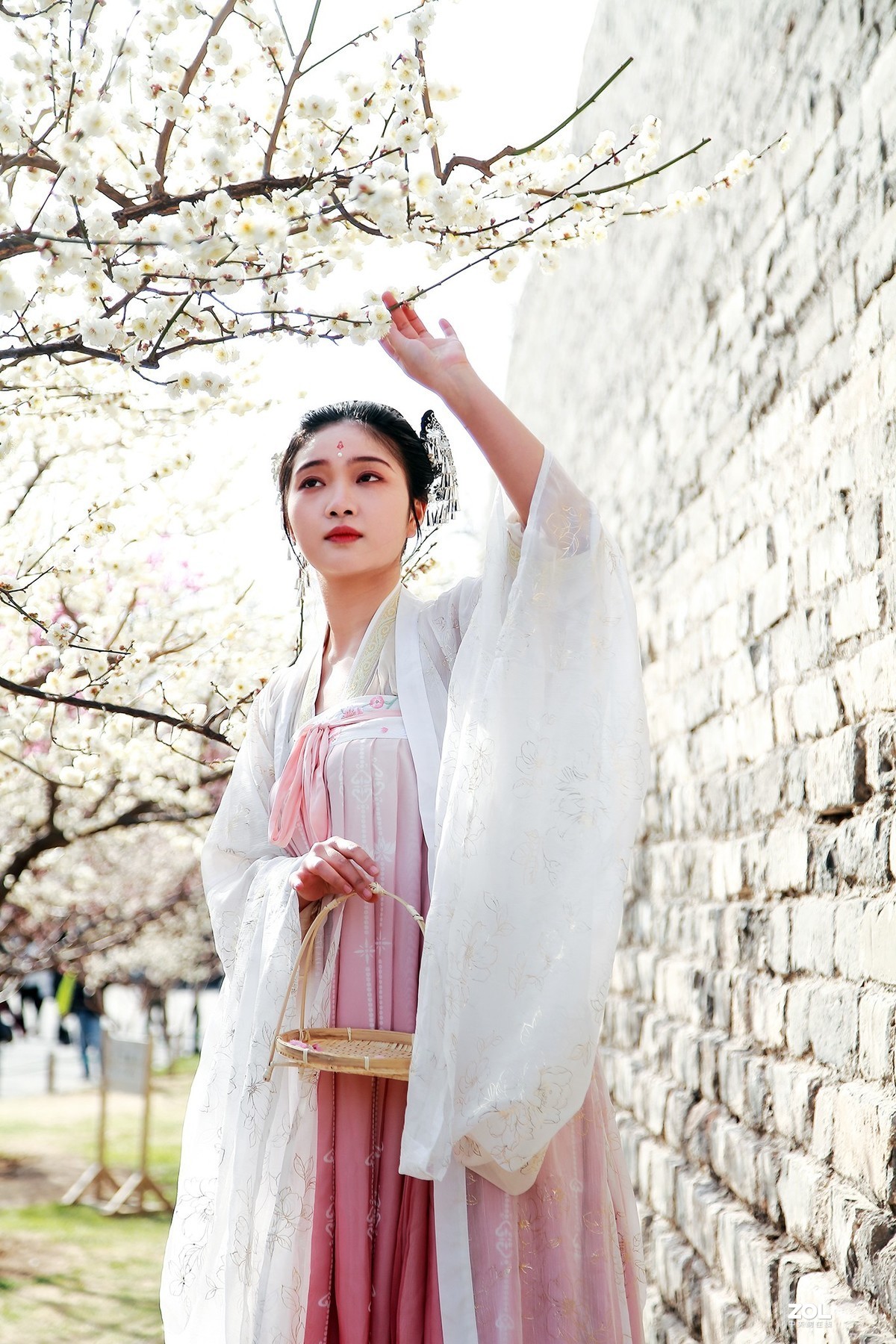 #回顾2019# 春到桃花源