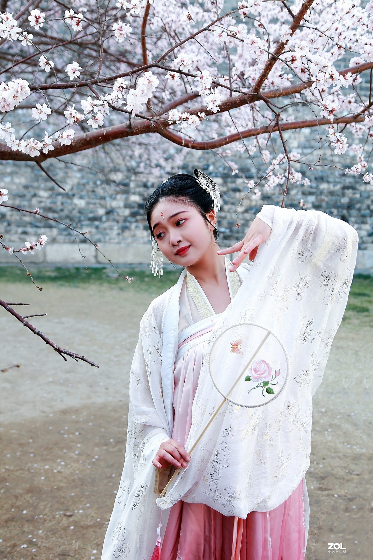 #回顾2019# 春到桃花源