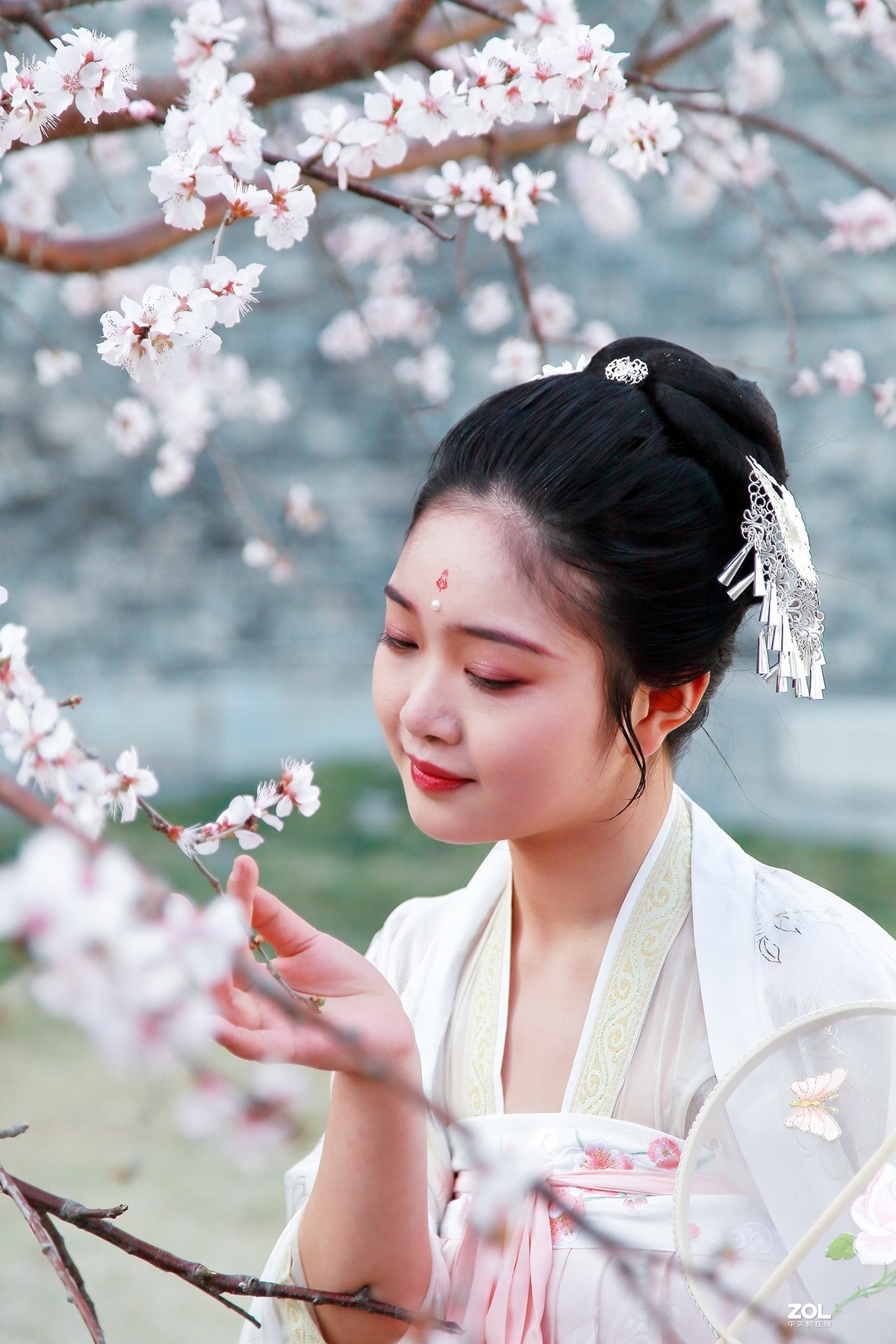 #回顾2019# 春到桃花源