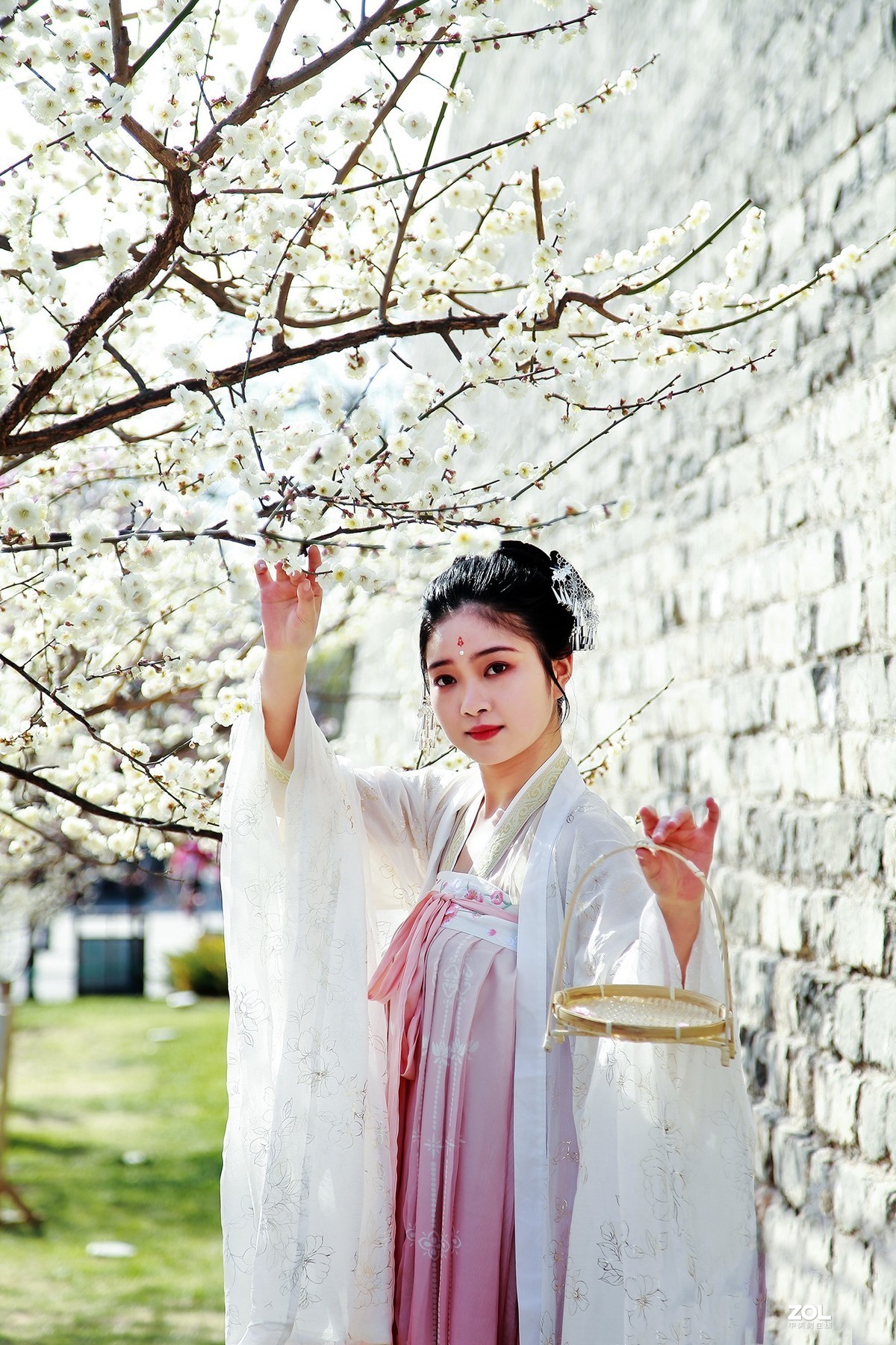 #回顾2019# 春到桃花源