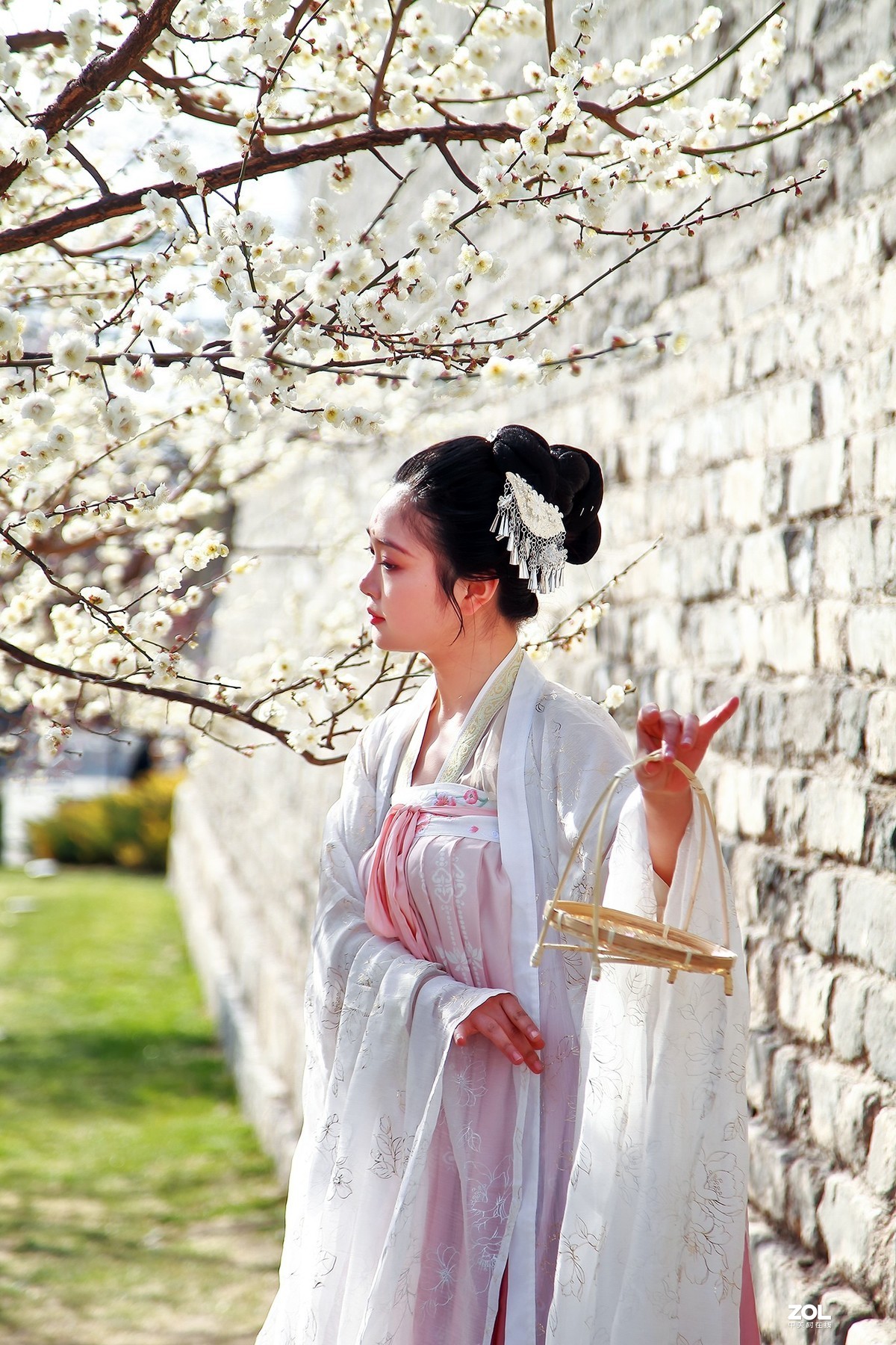 #回顾2019# 春到桃花源