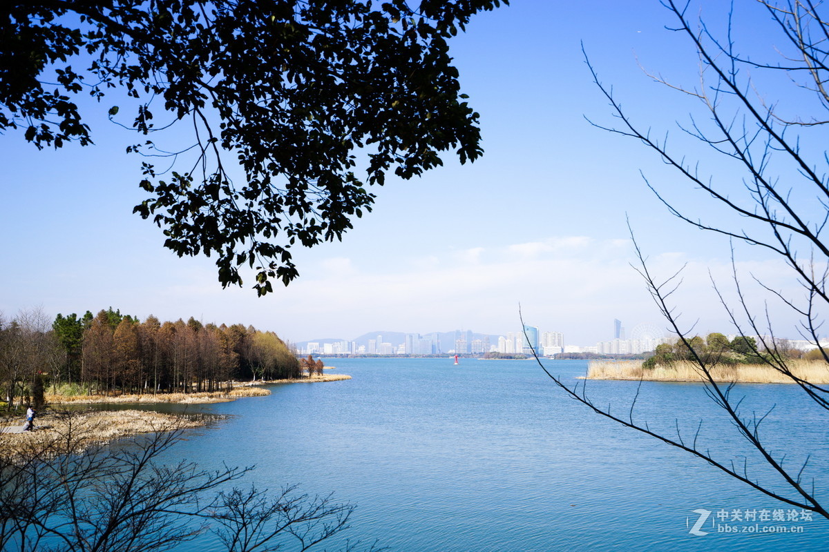 蠡湖美景