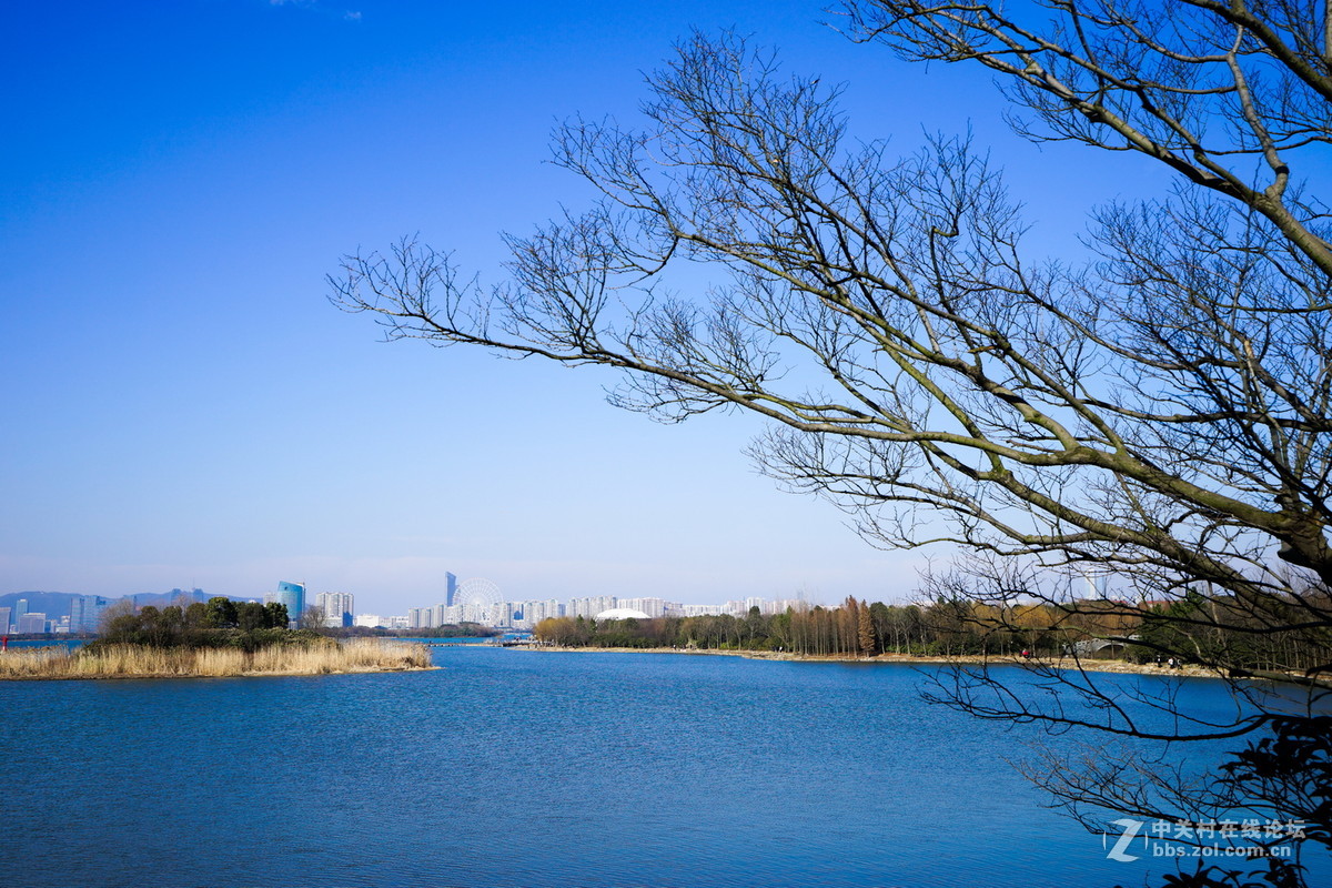 蠡湖美景