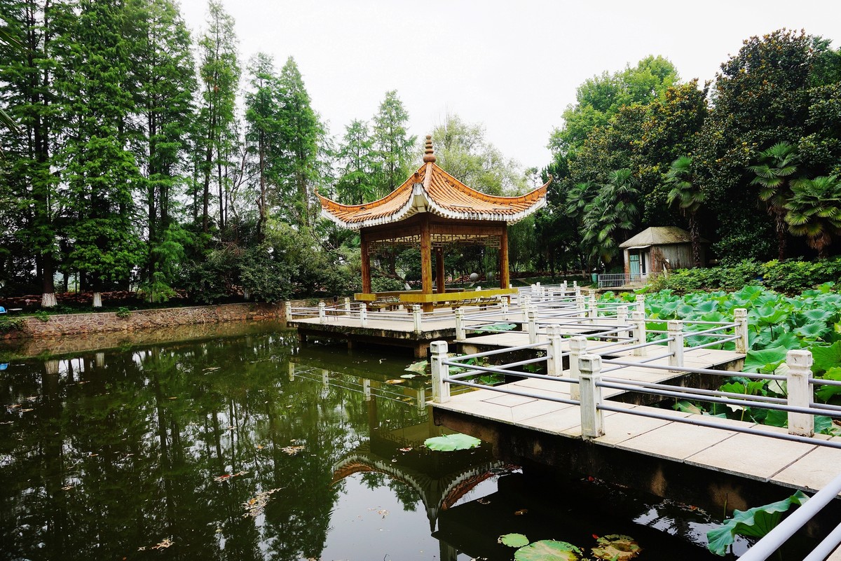 武漢職工療養院一