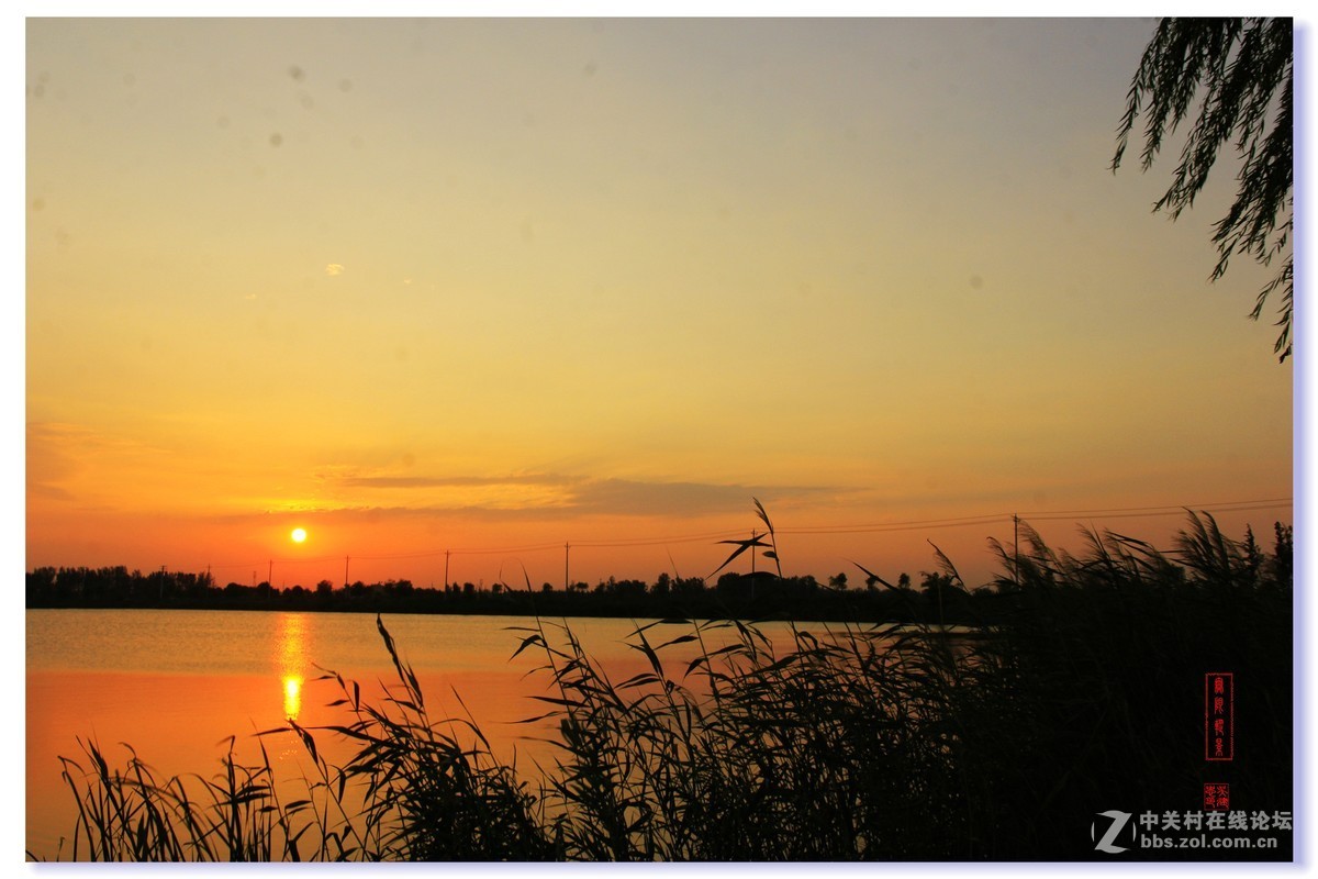 安国湿地夕阳美景（1）
