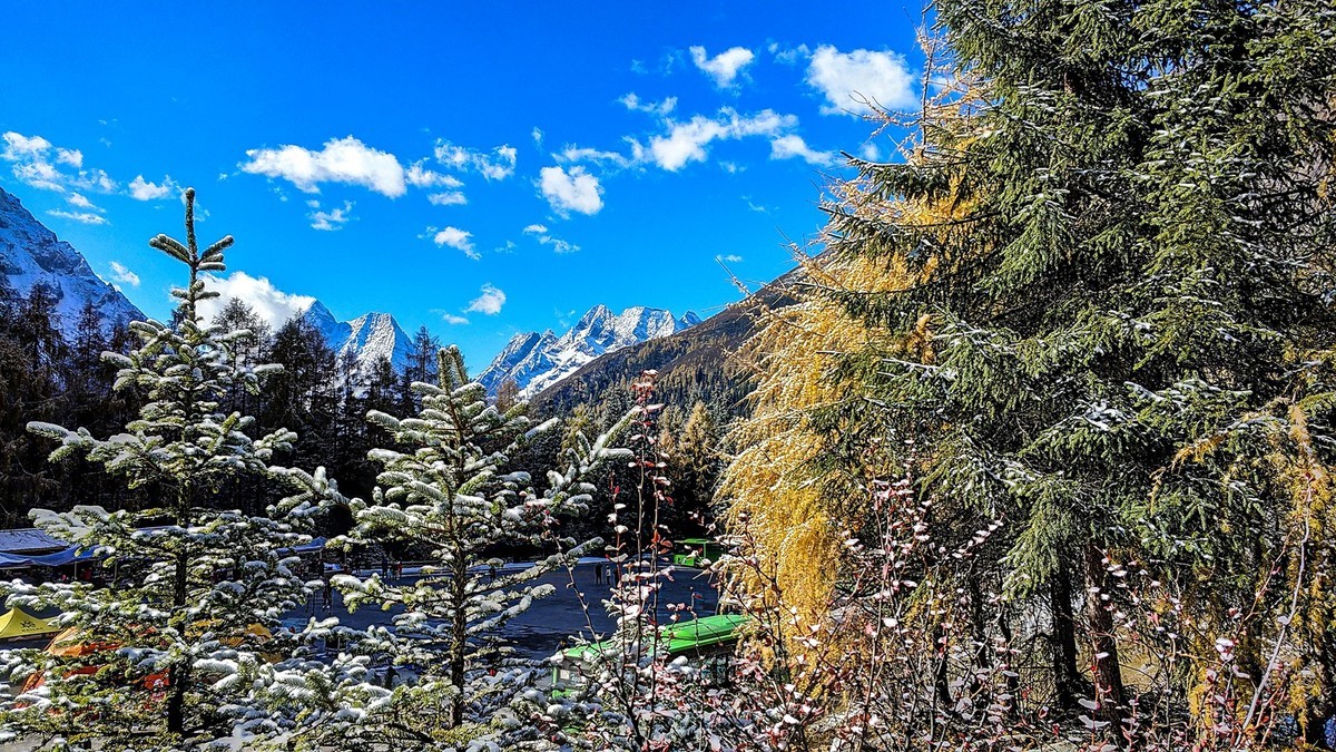 手机拍了秋景几片