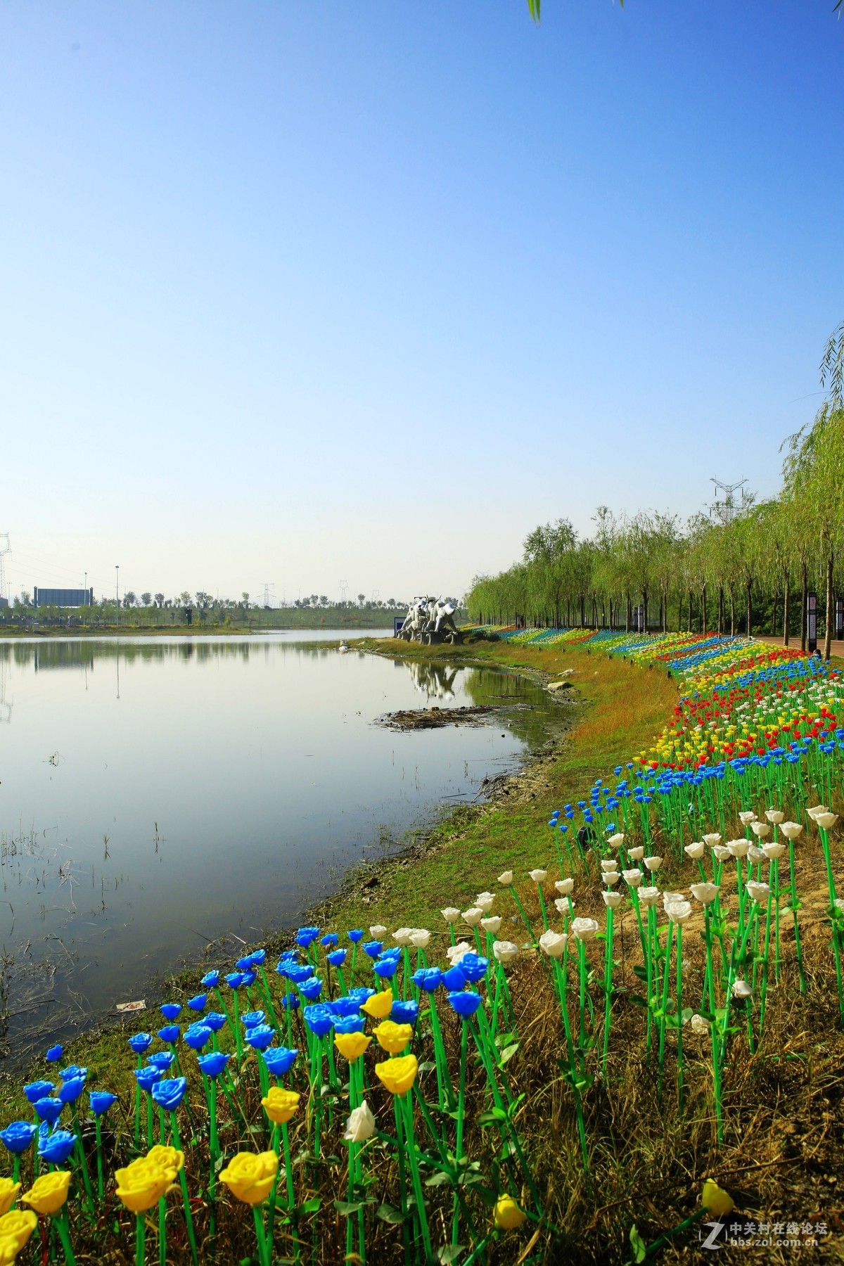 渭南湿地公园《6》