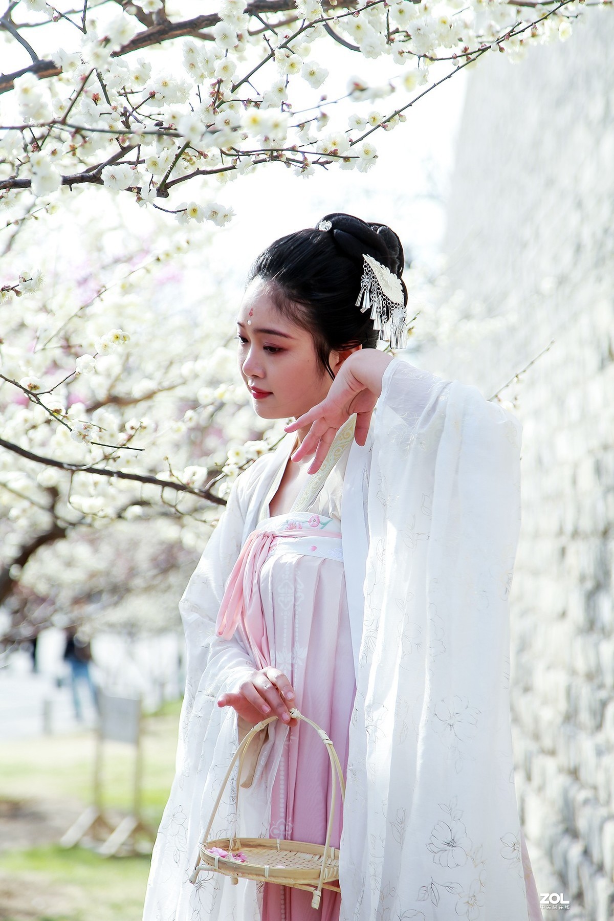 #回顾2019# 春到桃花源