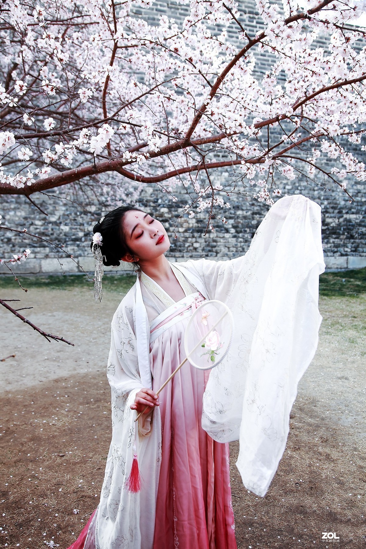 #回顾2019# 春到桃花源