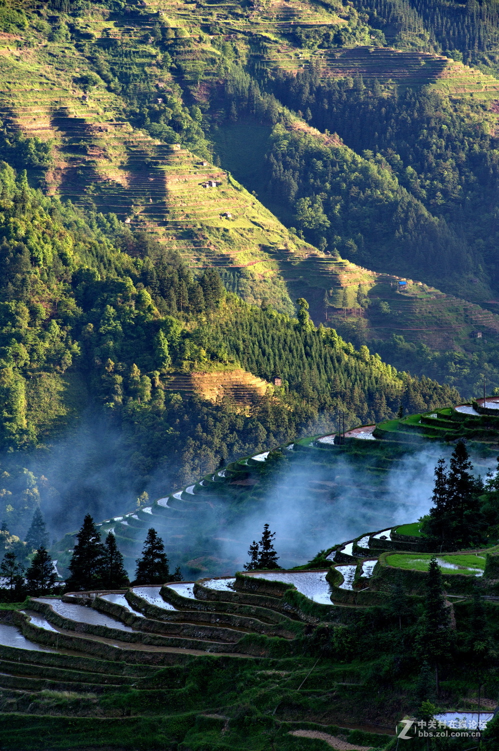 【大山深处】-中关村在线摄影论坛