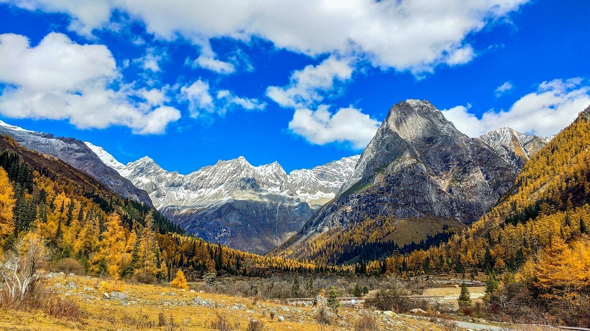 手机拍了秋景几片