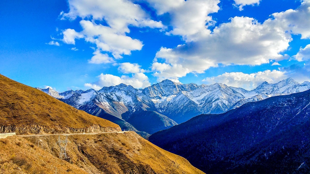 手机拍了秋景几片