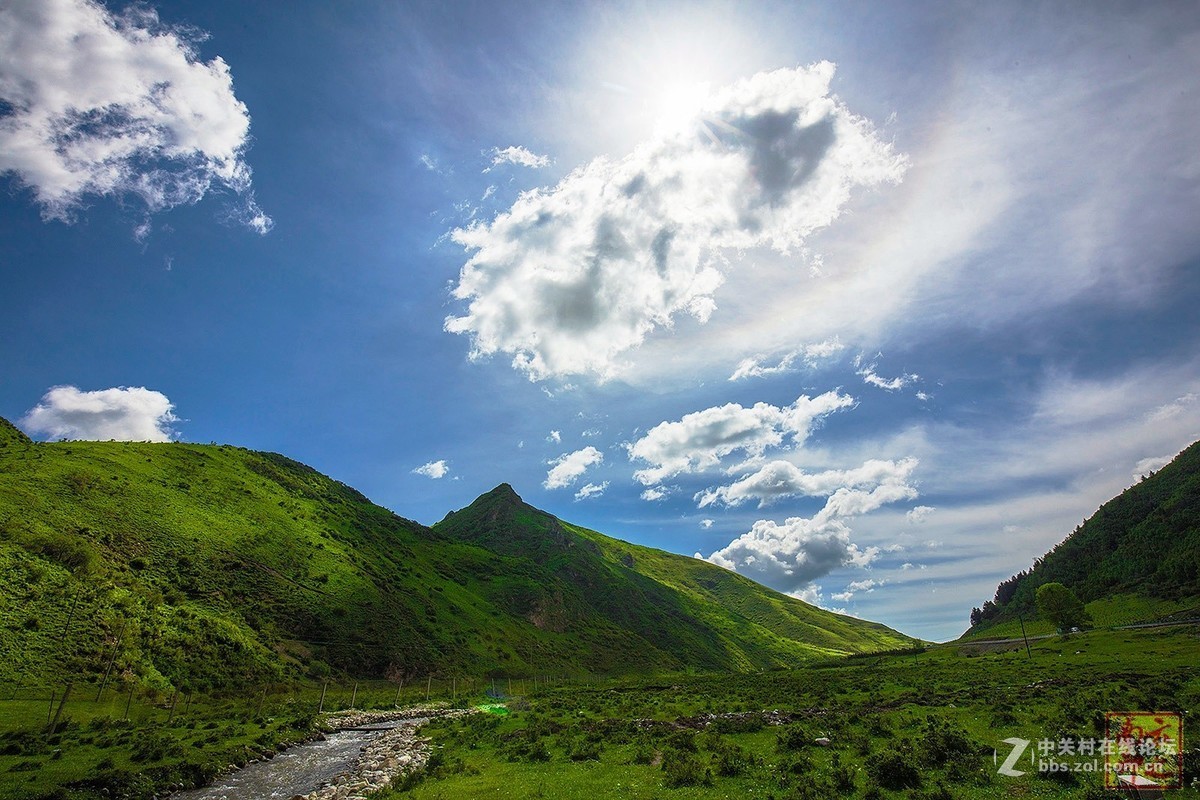 迷人黄香沟之夏甘肃渭源
