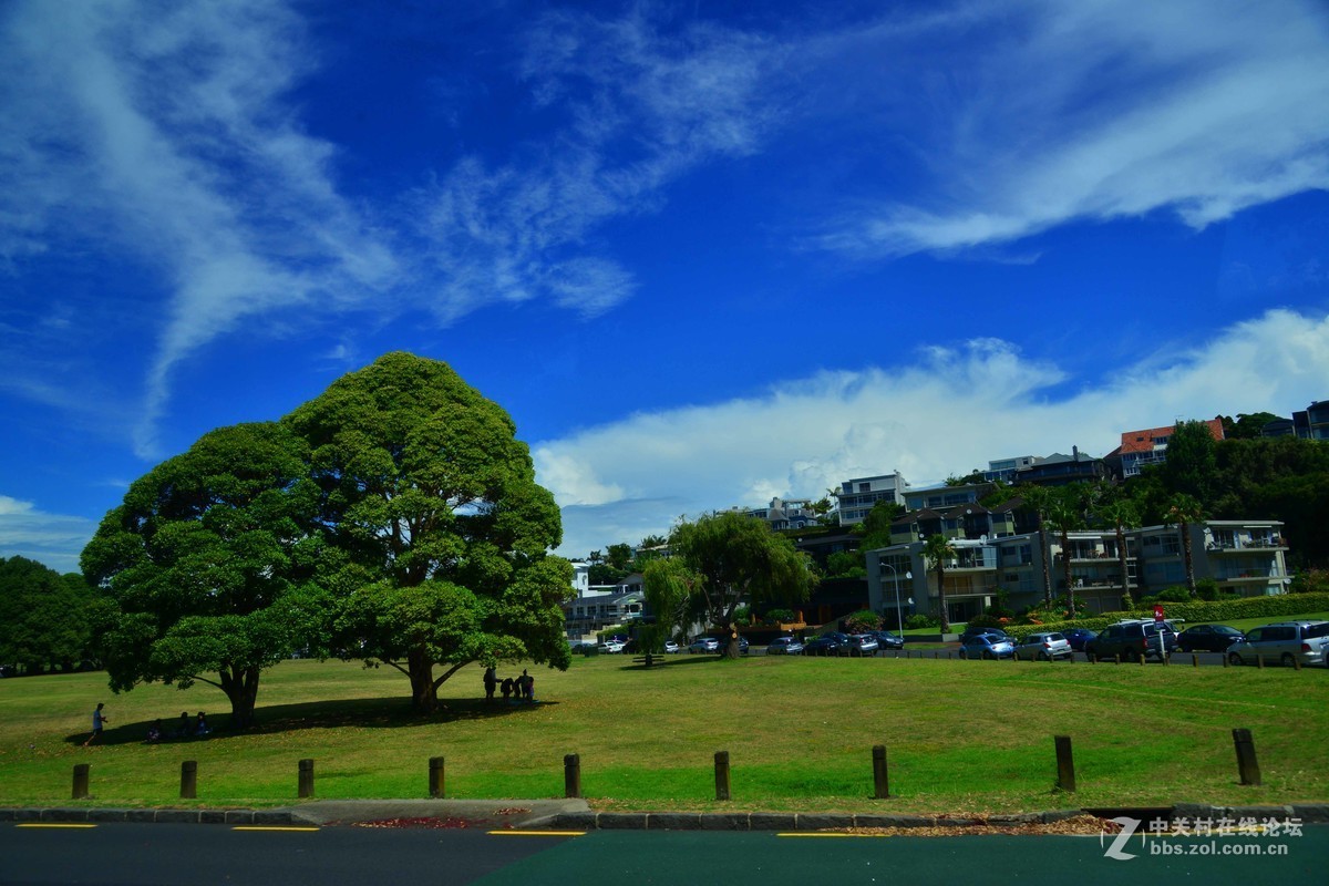 新西兰——奥克兰工党碑浪琴海岸