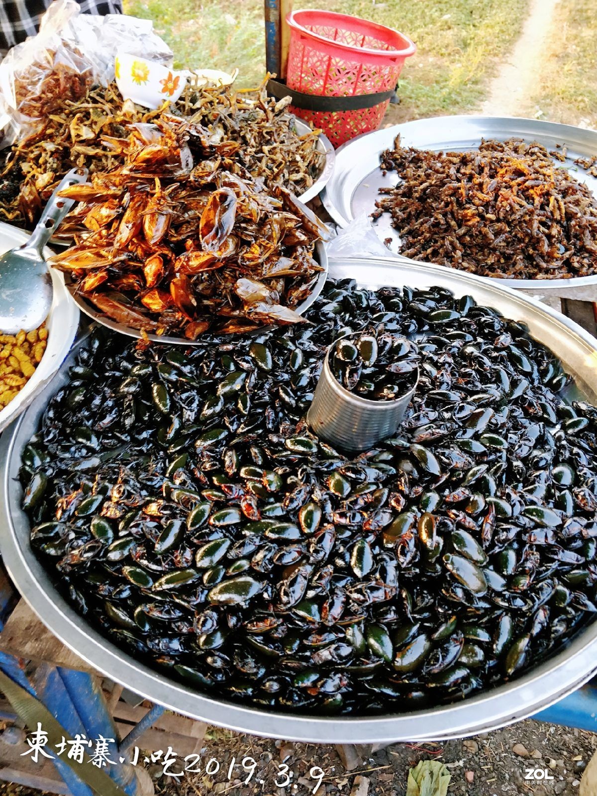 手机：柬普寨游拍（六）