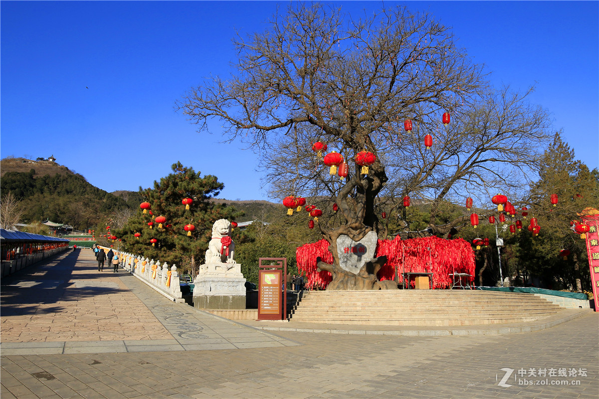 八大处公园的小景1.