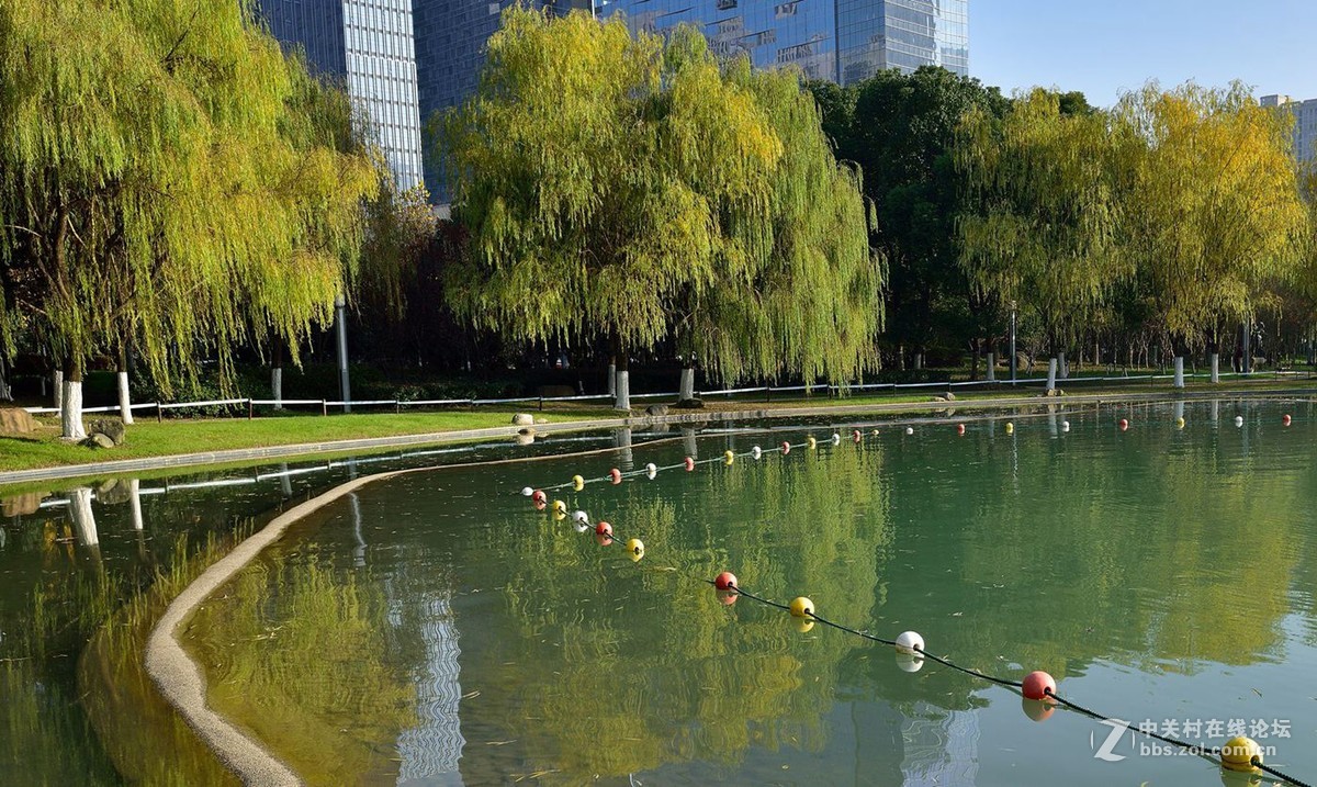 合肥市天鹅湖商务核心区美景