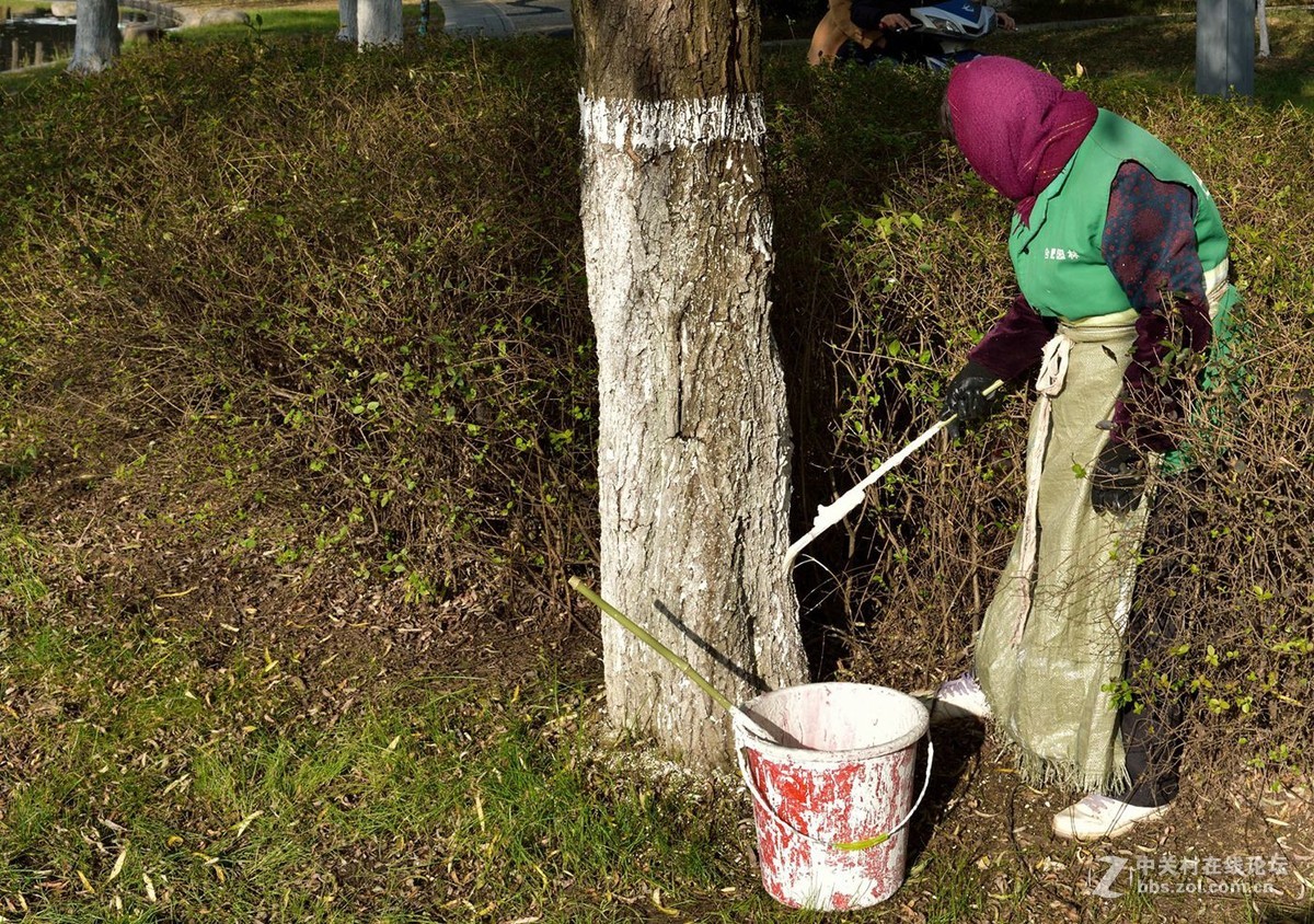 合肥市天鹅湖商务核心区美景