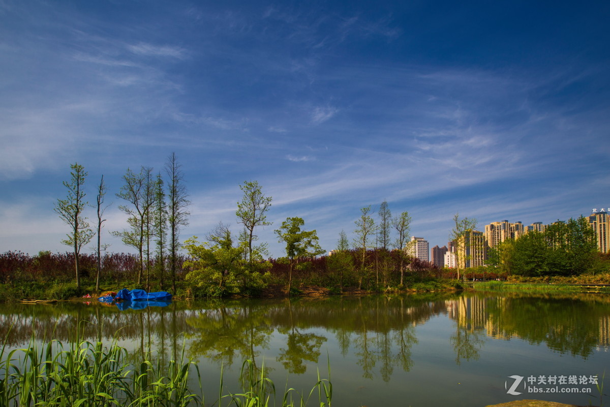 洋湖公园春季风景