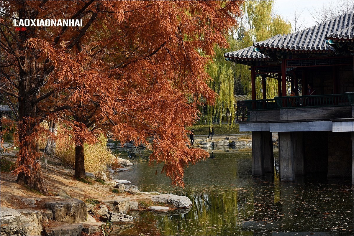 2017年中山公园水榭秋色2