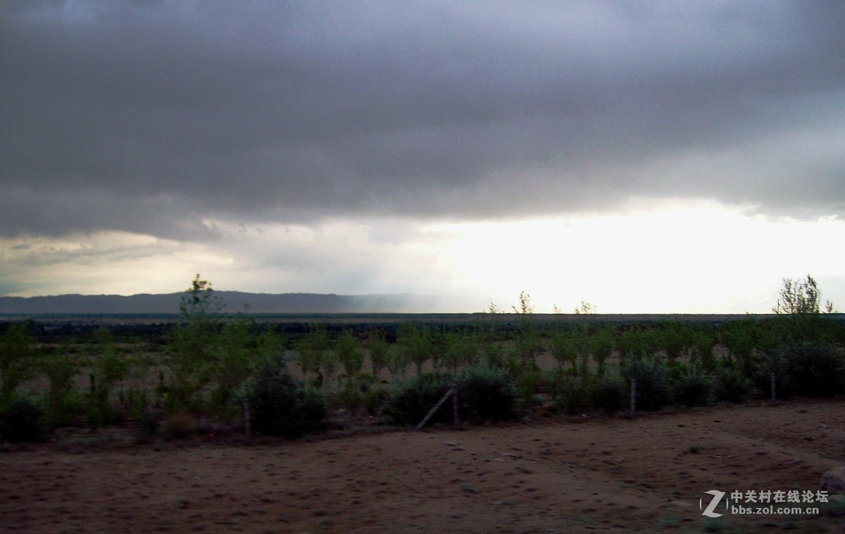 北疆海岸【续】