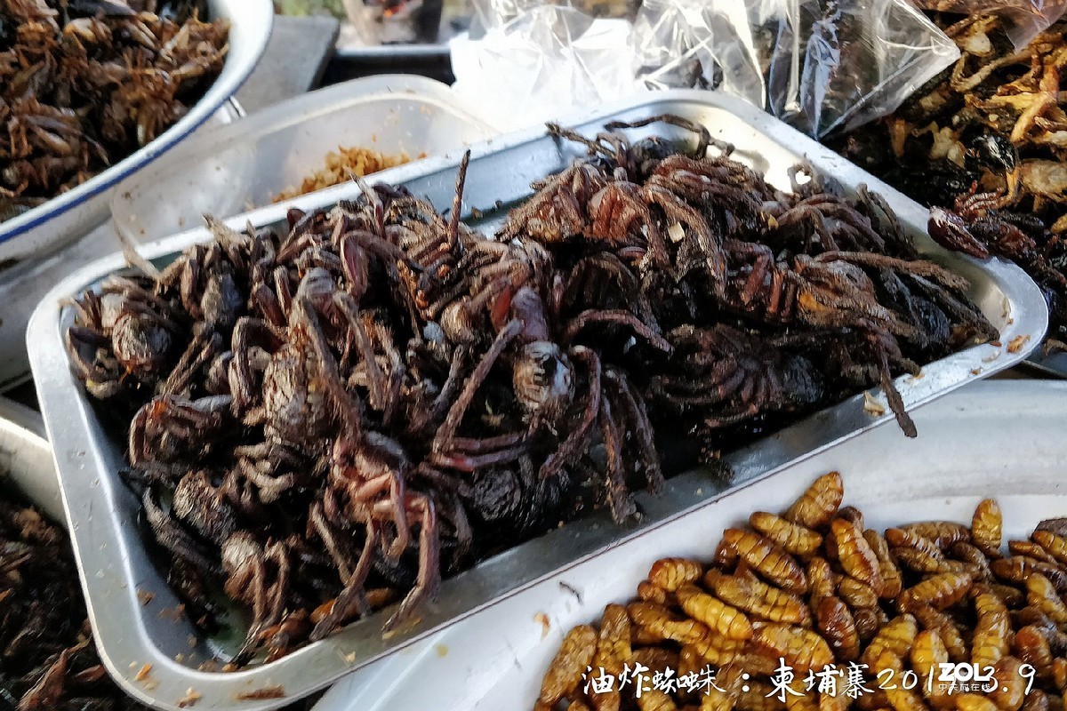 手机：柬普寨游拍（六）